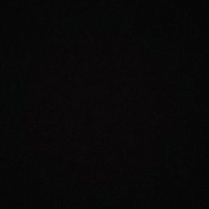 Meet your Posher, Bobby